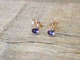 Iolite Stud Earrings 14k Gold