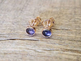 Iolite Stud Earrings 14k Gold