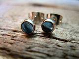 Swiss Blue Topaz Sterling Silver Earrings