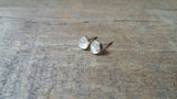 Rainbow Moonstone Stud Earrings Sterling Silver